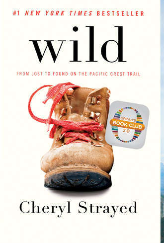 wild by cheryl strayed book