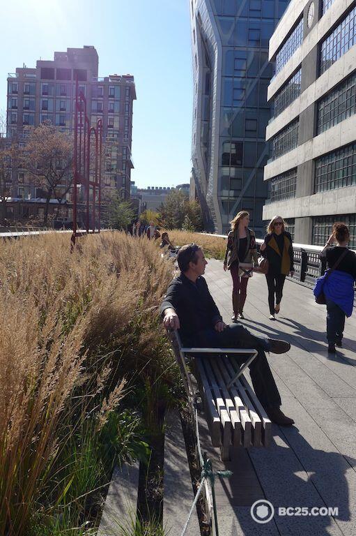 The Highline gardens in Manhattan provide a nature escape amongst the busy city life.