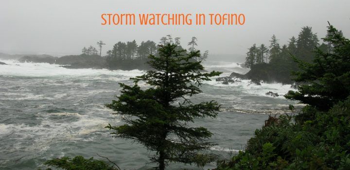Winter Storm Watching in Tofino